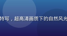 蘑菇视频网站4K播放器界面特写，超高清画质下的自然风光视频截图，色彩鲜艳细节丰富